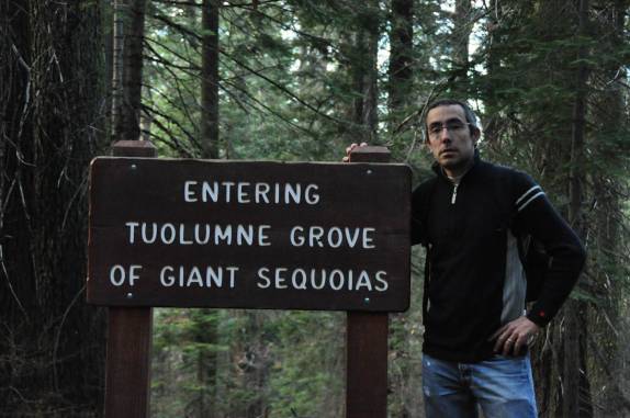 Um dos três bosques de sequoias no Yosemite National Park, na Califórnia, nos Estados Unidos